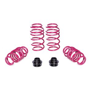 Vogtland Gewindefedernsatz VW Golf VIII CD | bis 930kg