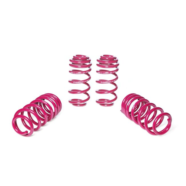 Vogtland Sportfedernsatz Audi A4 8W B9 (B8, B81) | Bj. ab 2015 | bis 1070kg