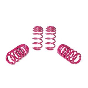 Vogtland Sportfedernsatz Audi  A5 F5 B9 (B8, B81), RS5 |...