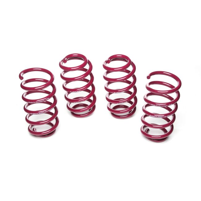 Vogtland Sportfedernsatz Audi A6 4B (C5) | Bj. 1997-2004 | bis 1245kg