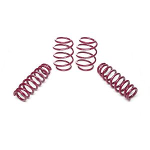 Vogtland Sportfedernsatz BMW  4er, F33 3C | Bj. 102.013-