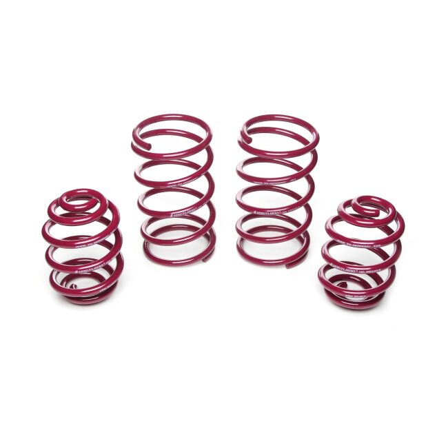 Vogtland Sportfedernsatz BMW 3er, E21 315, 316, 318, 318i, 320, 320i, 323i | Bj. 1975-1983 | bis 790kg