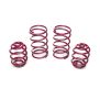 Vogtland Sportfedernsatz BMW 3er, E21 315, 316, 318, 318i, 320, 320i, 323i | Bj. 1975-1983 | bis 790kg