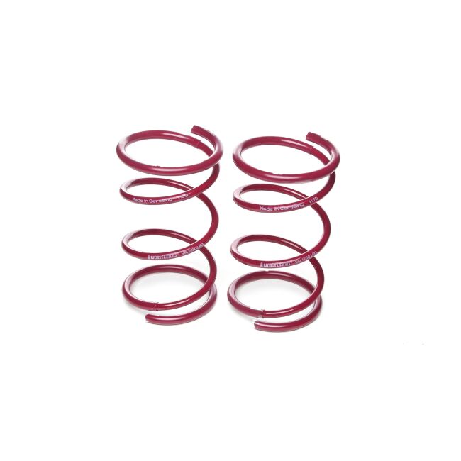 Vogtland Sportfedernsatz Citroen  Xsara N* | Bj. 91.999-