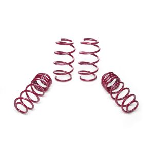 Vogtland Sportfedernsatz Honda Civic FD1, FK1, FK2, FK3, FN1, FN2, FN3, FN4 | Bj. ab 2006 | bis 1085kg