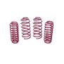 Vogtland Sportfedernsatz Seat  Toledo 1M | Bj. 31.999-92.004 | bis 910 kgkg