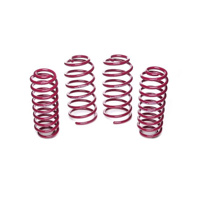 Vogtland Sportfedernsatz Seat  Toledo 1M | Bj. 31.999-92.004 | bis 995 kgkg