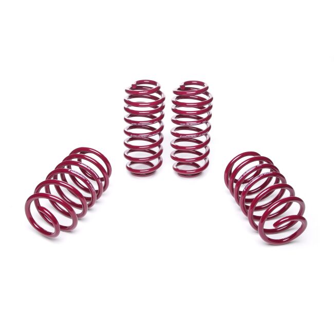 Vogtland Sportfedernsatz Seat Leon 1P | Bj. ab 2005 | bis 1020kg