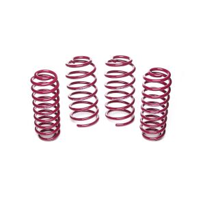 Vogtland Sportfedernsatz VW  Bora 1J | Bj. 111.998-92.005...