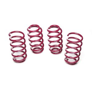 Vogtland Sportfedernsatz VW  Passat 3B/3BG (B5) | Bj....