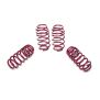 Vogtland Sportfedernsatz VW Passat 3C (B6/B7) | Bj. 2005-2014 | bis 1070kg