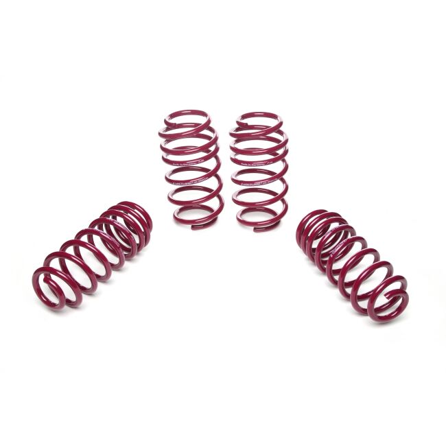 Vogtland Sportfedernsatz VW Passat 3C (B6/B7) | Bj. 2005-2014 | bis 1180kg